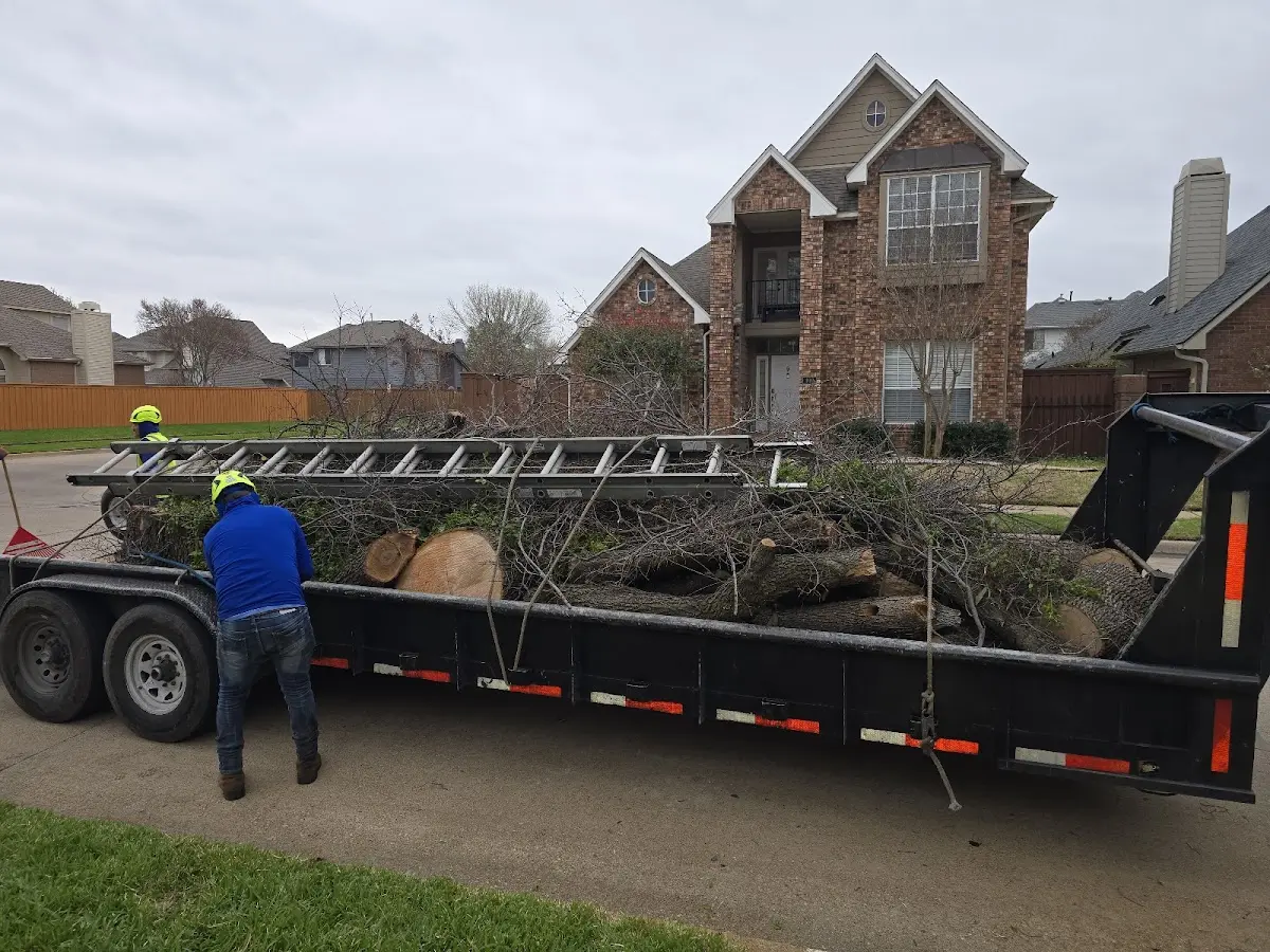 Expert Tree Pest Control with proper safety equipment in Peterman